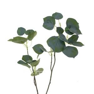 75cm leave branch LY00836 