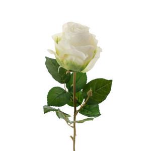 76cm Victoria rose  stem LY69035 