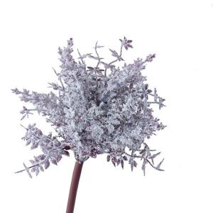 78cm snow grass  stem 