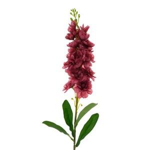 81cm delphinium LY12465 