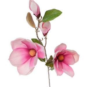 82 cm magnolia LY12786
