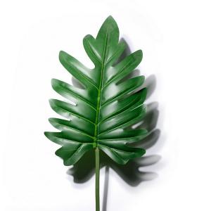 82CM Philodendron selloum LY15252A