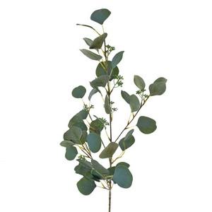 85 cm eucalyptus stem LY00813
