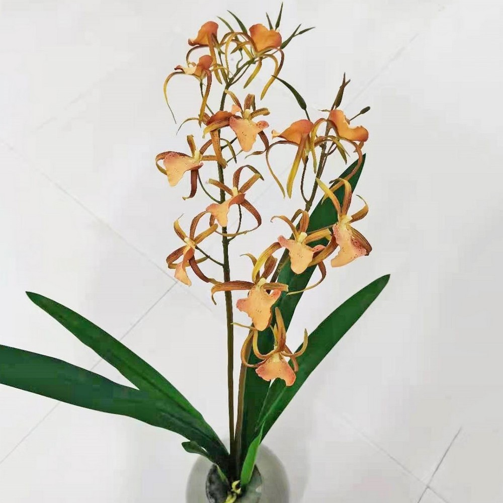 85cm orchid with leaves  LY27736
