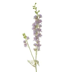 87 Delphinium LY70117