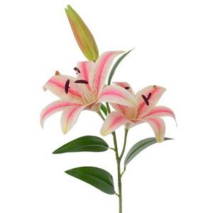 87cm 2 head Lily LY27101