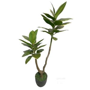 88cm Ficus elastica rubber plant in pot