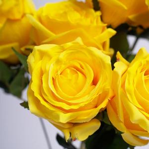 9 head rose bush LY124304