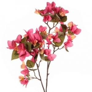 90cm bougainvillea