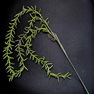 90cm hanging grass plant LY16642