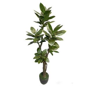 98cm Ficus elastica rubber plant in pot