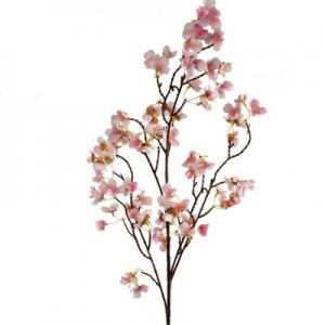 99cm cherry blossom