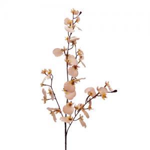 Dancing orchid  Oncidium orchid spray  x 3 branches