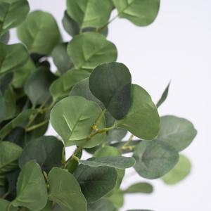 Eucalyptus leaf spray 90cm  LY124315