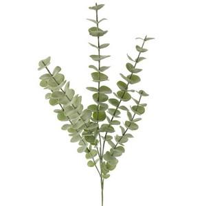 Eucalyptus spray LY107063A