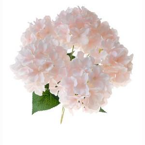 Hydrangea bush x6  LY12481