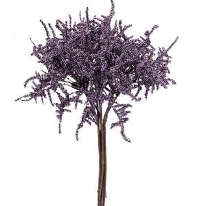 LY012447 Limonium bush