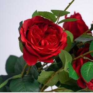 LY124301 3 head austin rose