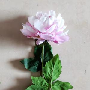 LY124306 peony stem 68cm