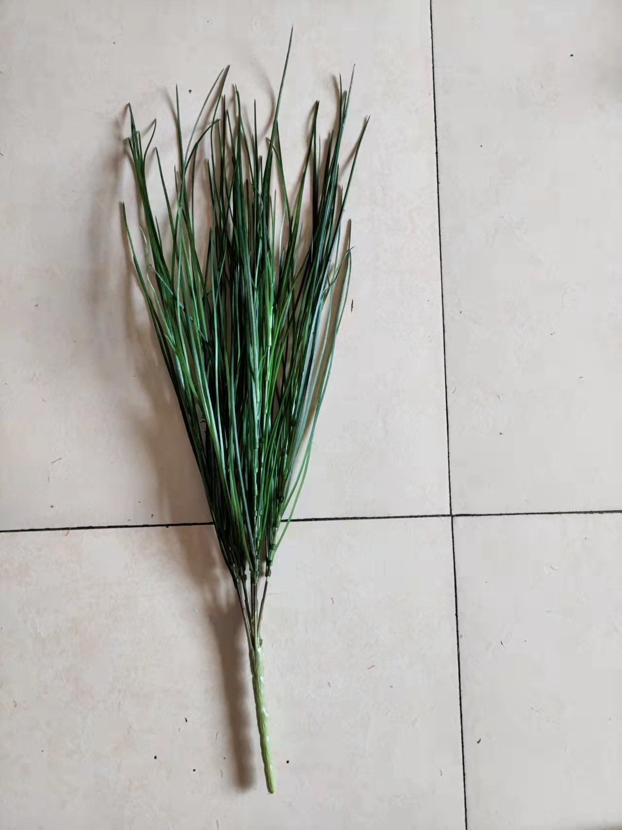 LY124313 onion grass bush
