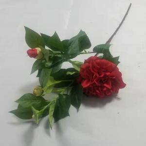 LY12590 65CM Camelia