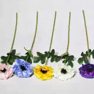 LY15234 single anemone 