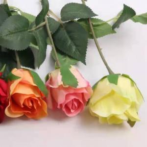 LY15237 Rose stem
