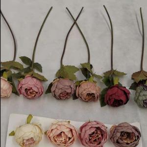 LY15248 Autumn color peony stem