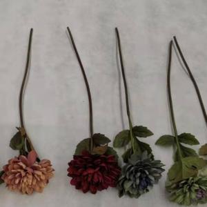 LY15249 autumn dahlia