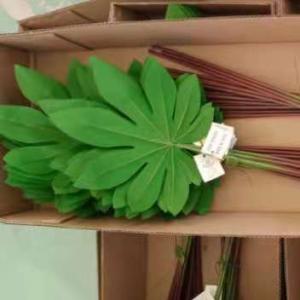 LY15253 Artificial leaf