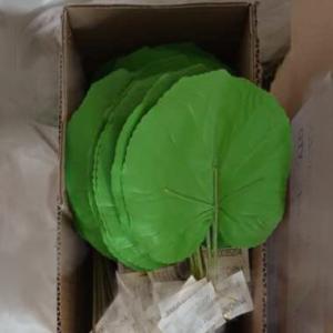 LY15254 Artificial leaf