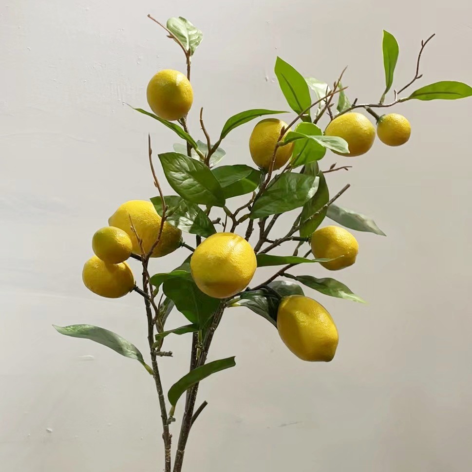 LY18625 lemon
