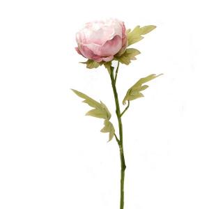 peny stem 65cm LY27606