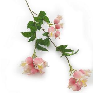 LY27741 fuchsia flower