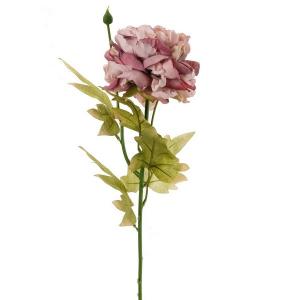 single peony dry color LY72608