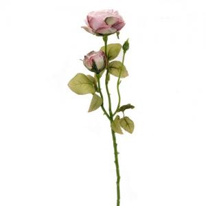 LY72610 54cm rose 