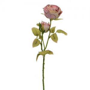 LY72611 54cm rose2