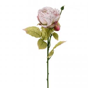 LY72612 austin rose 64cm