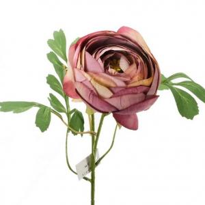 LY72613 Ranunculus stem 