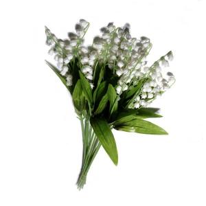  Lily-of-The-Valley  X6 LY15246