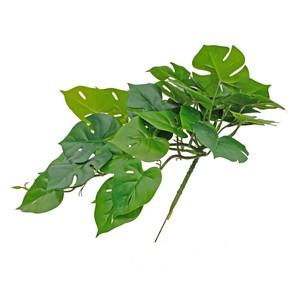 Monstera hanging bush 50cmL x 26cm LY16806