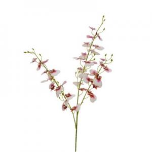 LY122312 Oncidium orchid spray  x 3 branches PPEVA