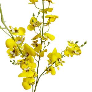 Oncidium orchid spray  x 3 branches