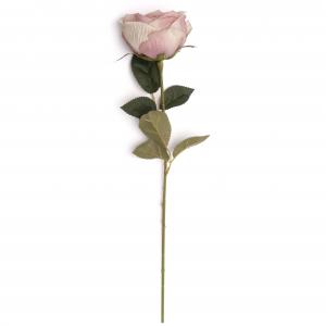 Single rose stem LY16725