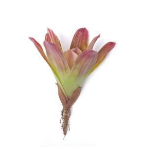 Urn Plant leaf bush 30CM 