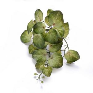 begonia leaf garland  28 lvs