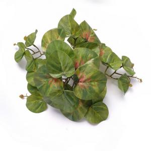 begonia leaf plant  17CM