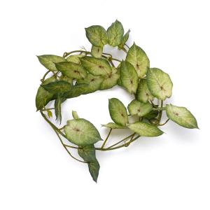 begonia leaf plant garland 36lvs