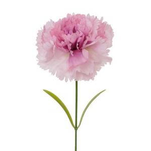 LY122310  carnation big head