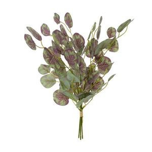 eucalyptus bushx3 LY16679